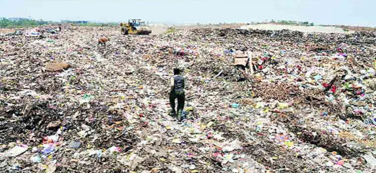 TS Government to formulate Solid Waste Management rules