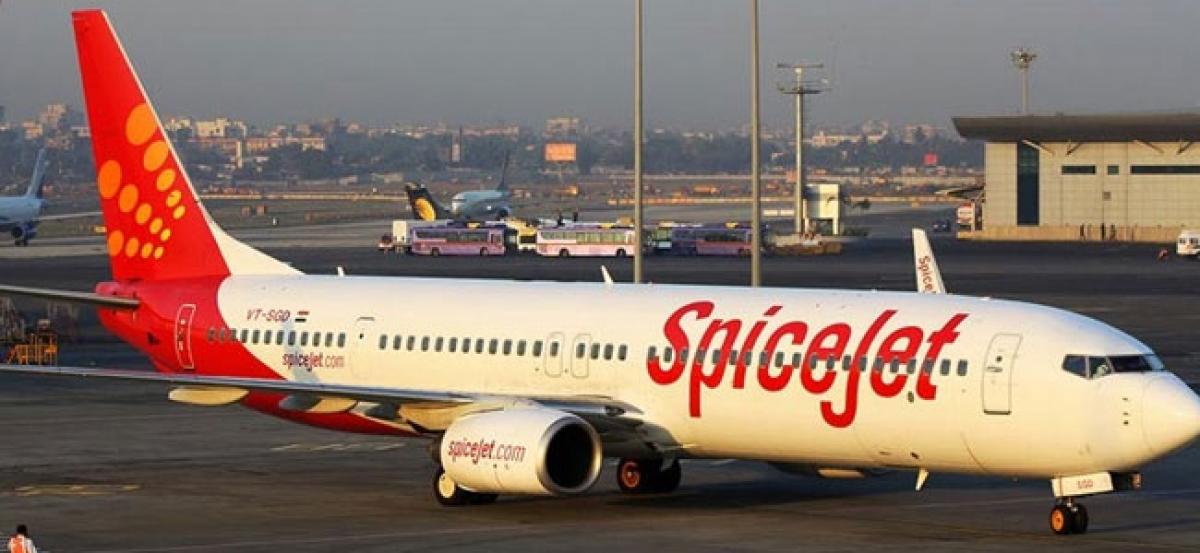 SpiceJet announces 20 new domestic flights from Feb 11