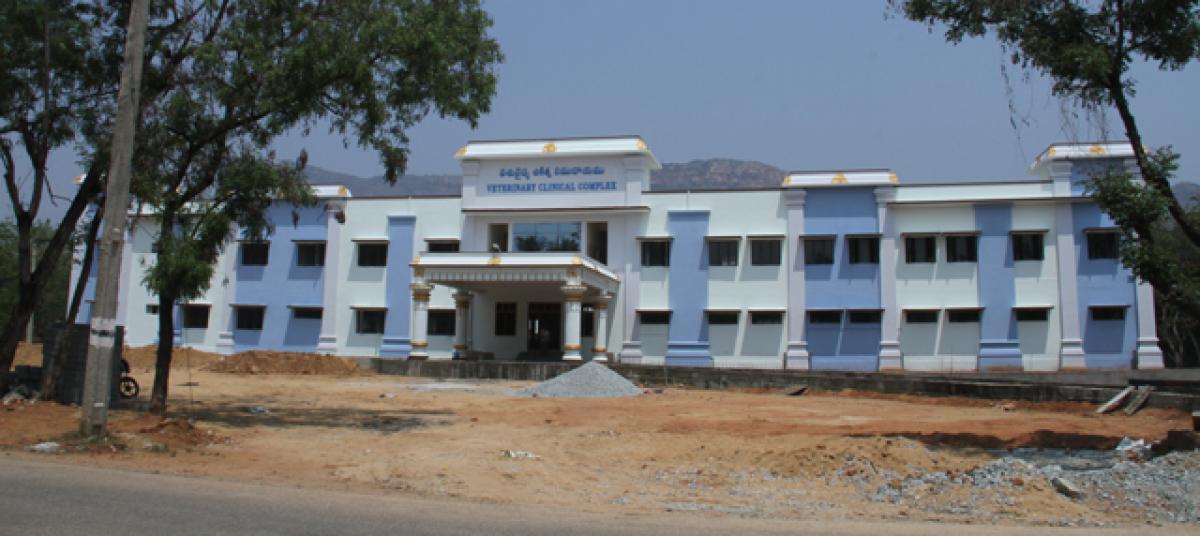 No quality check in building works of SVVU campuses