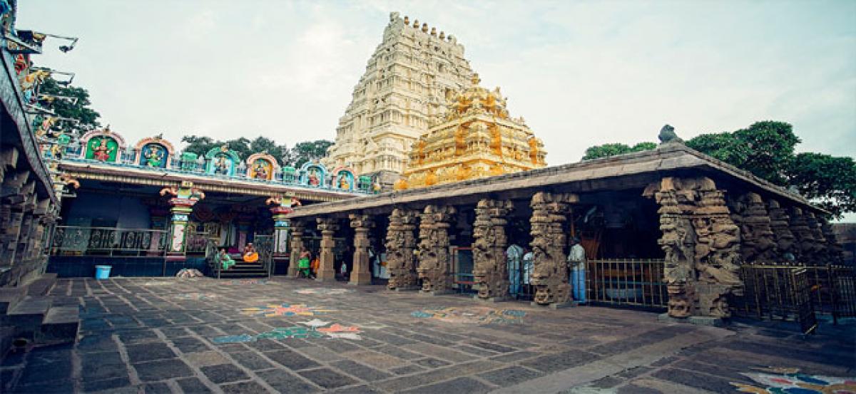 Nellore devotees visit Srisailam