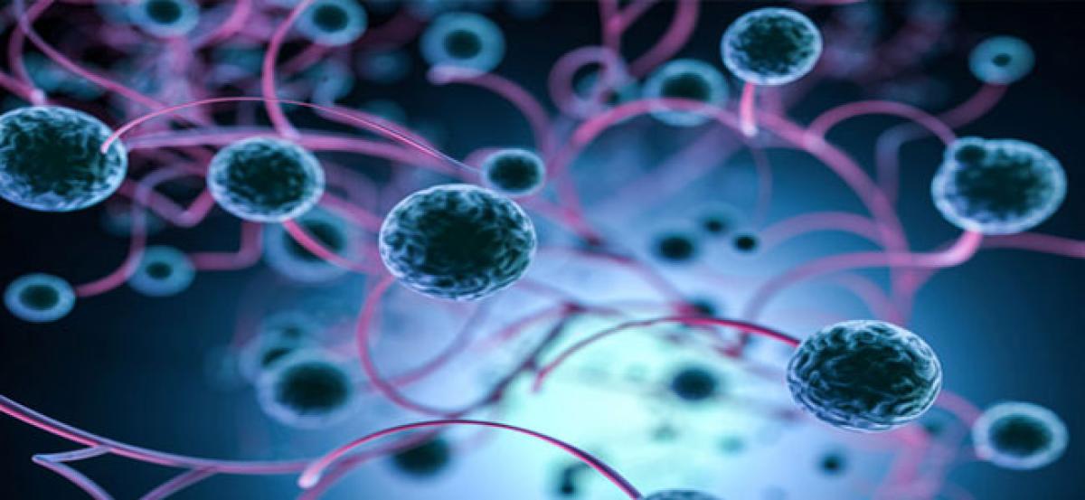 Stem cells may help to stay strong in old age