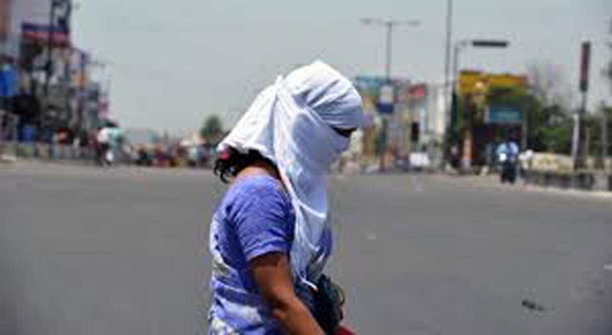 Nellore sizzles at 44 degree Celsius