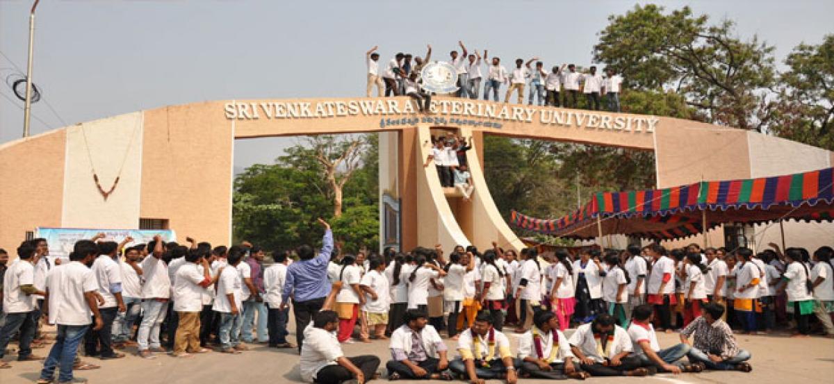 SVVU students stir from top of varsity gate arch