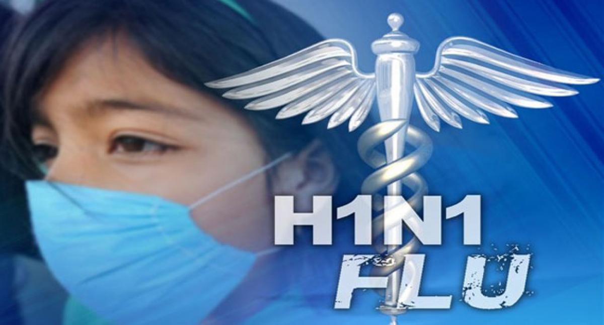 Swine flu alert in Srikakulam