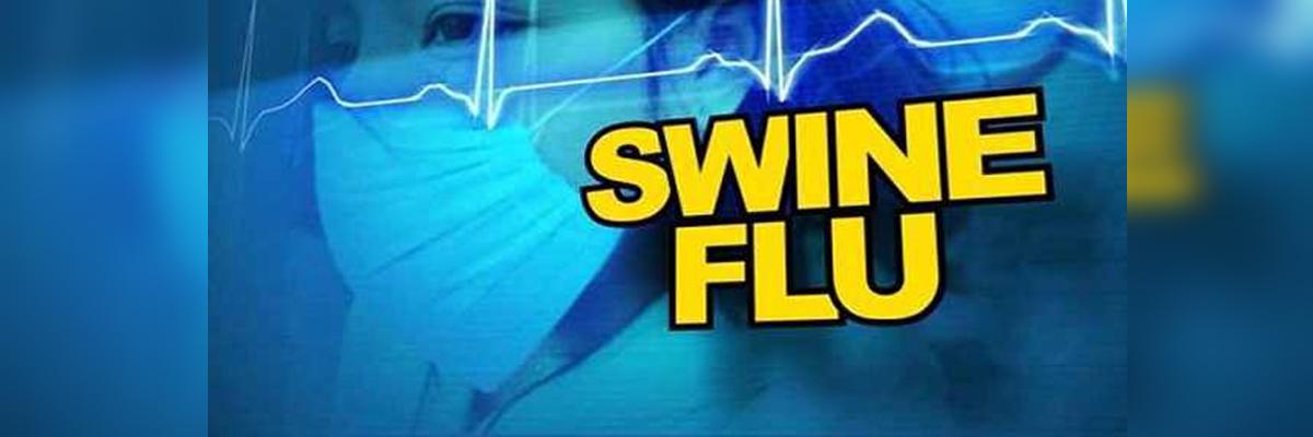 Andhra Pradesh  District In Swine Flu Grip