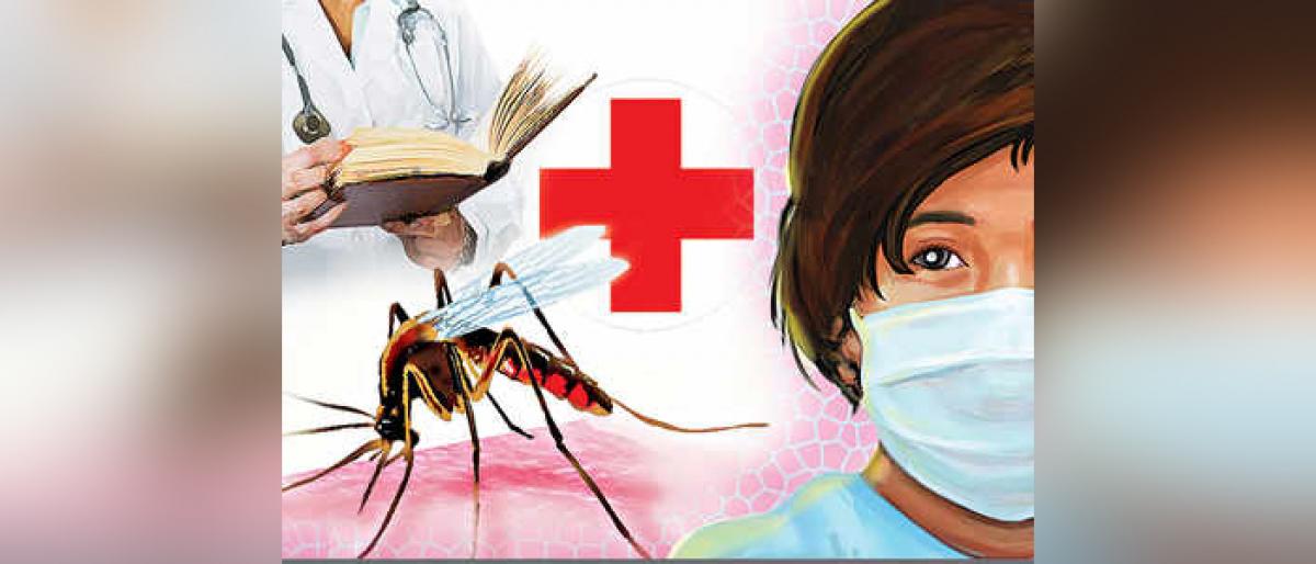 Swine Flu Outbreaks In Chittoor