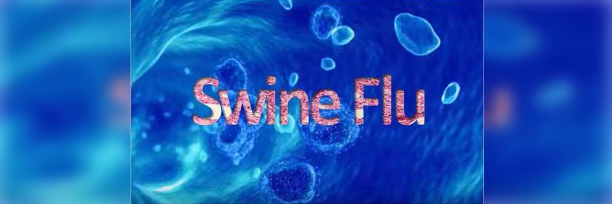 Chintakollu Village in AP gets deserted over rumours of 2 swine flu deaths