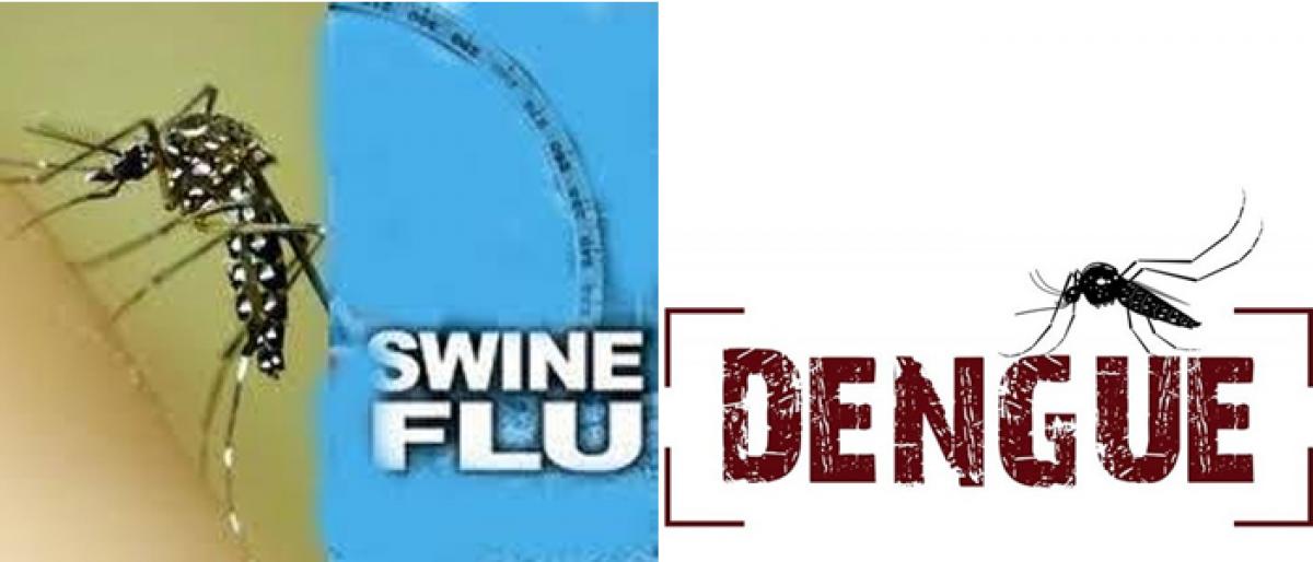 Swine Flu & Dengue Create Panic In Andhra Pradesh