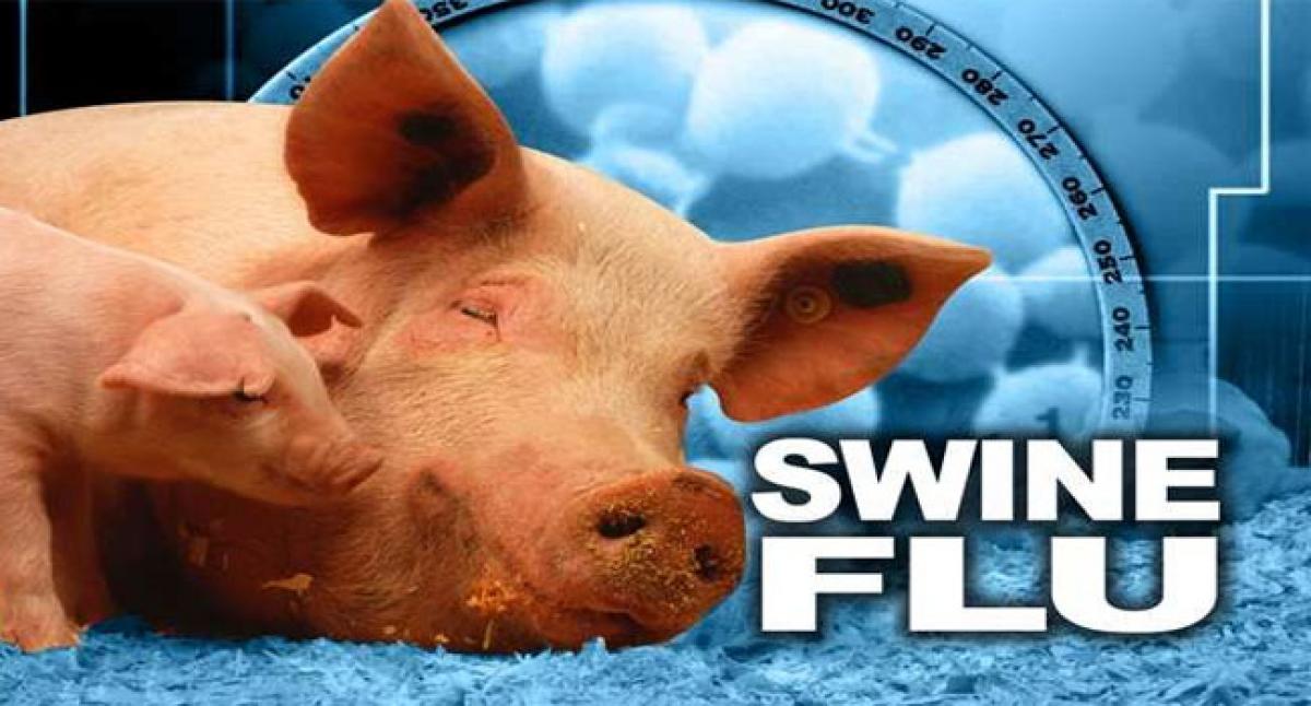 Swine flu death in Krishna district