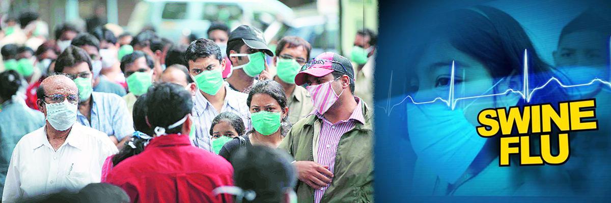 Swine Flu Panic In Krishna and Guntur District