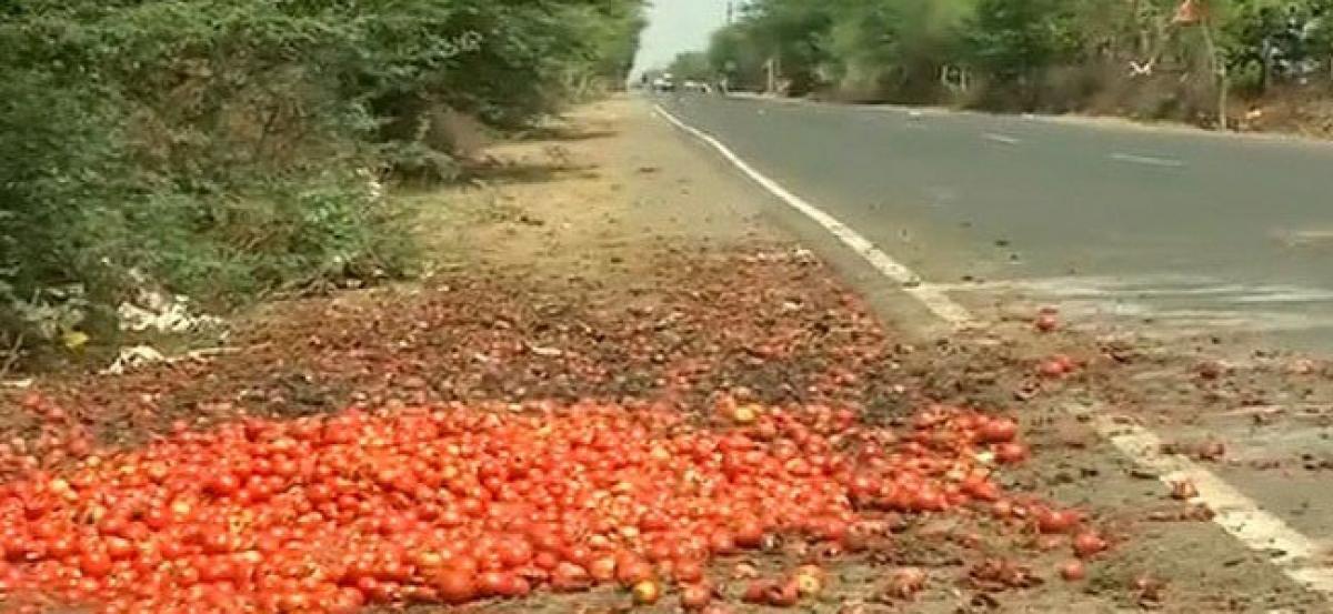 MP farmer forced to throw 100 crates of tomatoes