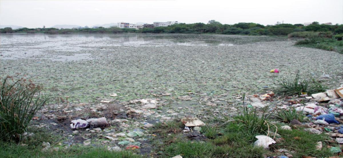 Akkarampalli tank filled with filth