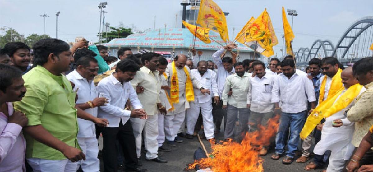 TDP cadres burn Vijay Sai Reddy effigy in Rajamahendravaram