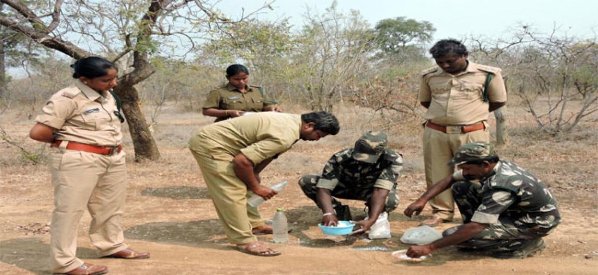 Tiger count likely to go up by 40 in Atmakuru division