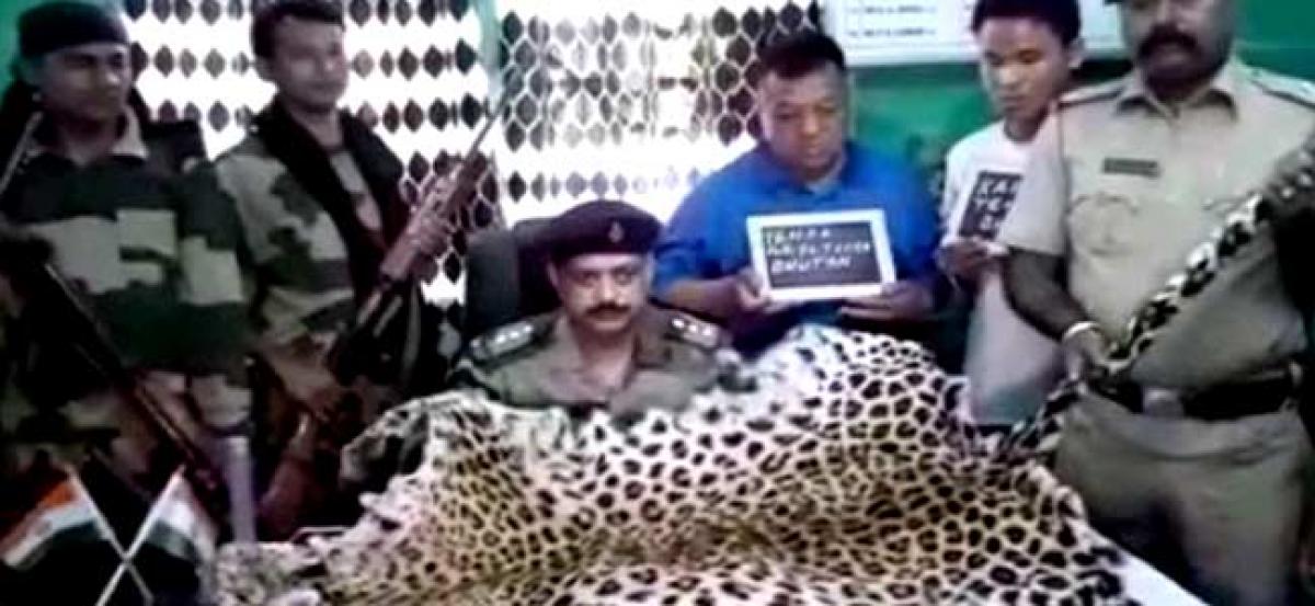 Forest officials seize 8 ft leopard skin from 2 Bhutan nationals