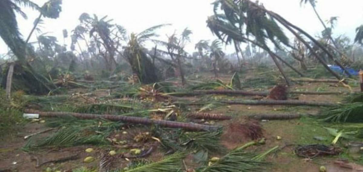 Removal of uprooted trees becomes tough task in Srikakulam district