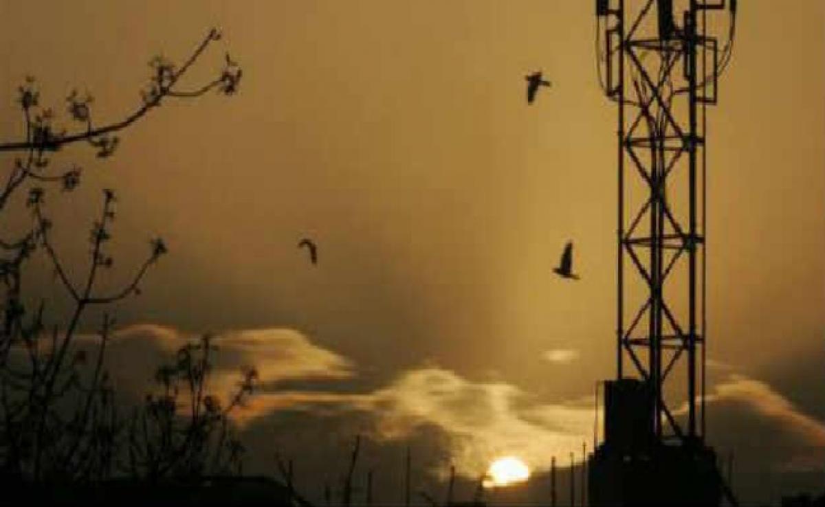 Telecom Department Seeks Regulator Views On Review Of Spectrum Caps