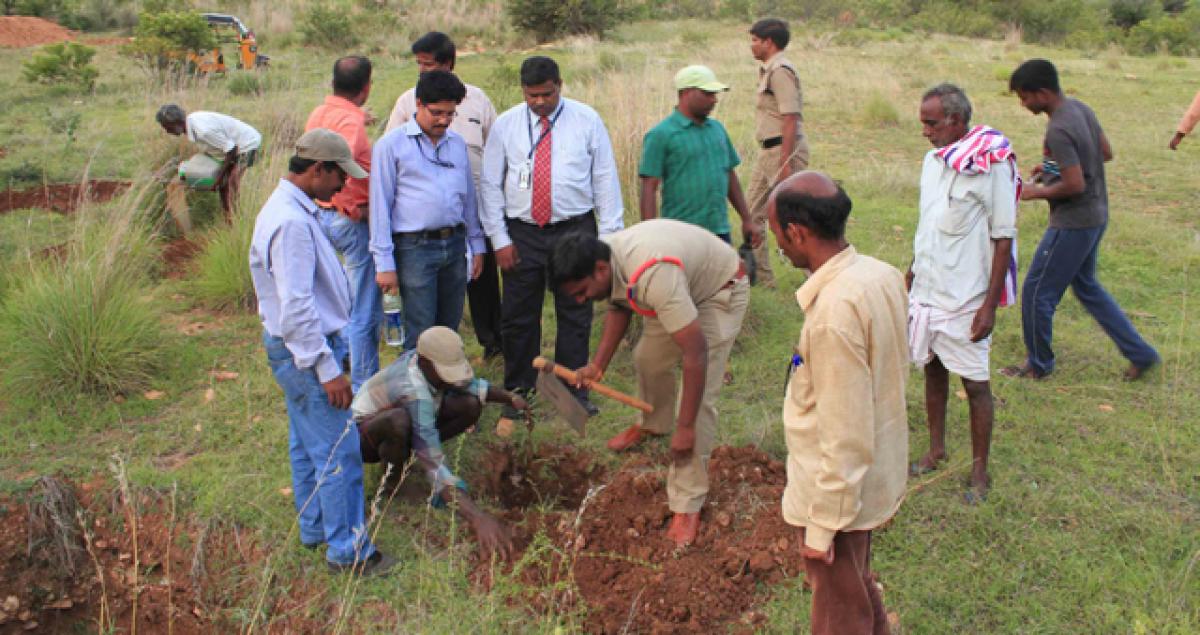 Farmers asked to plant trees on farm pond bunds