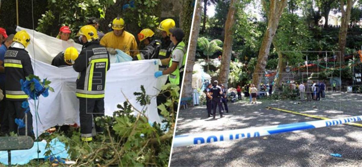 12 killed as tree falls during religious fest in Portugal