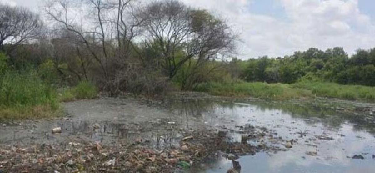 PCB collects samples from Trimulgherry Lake