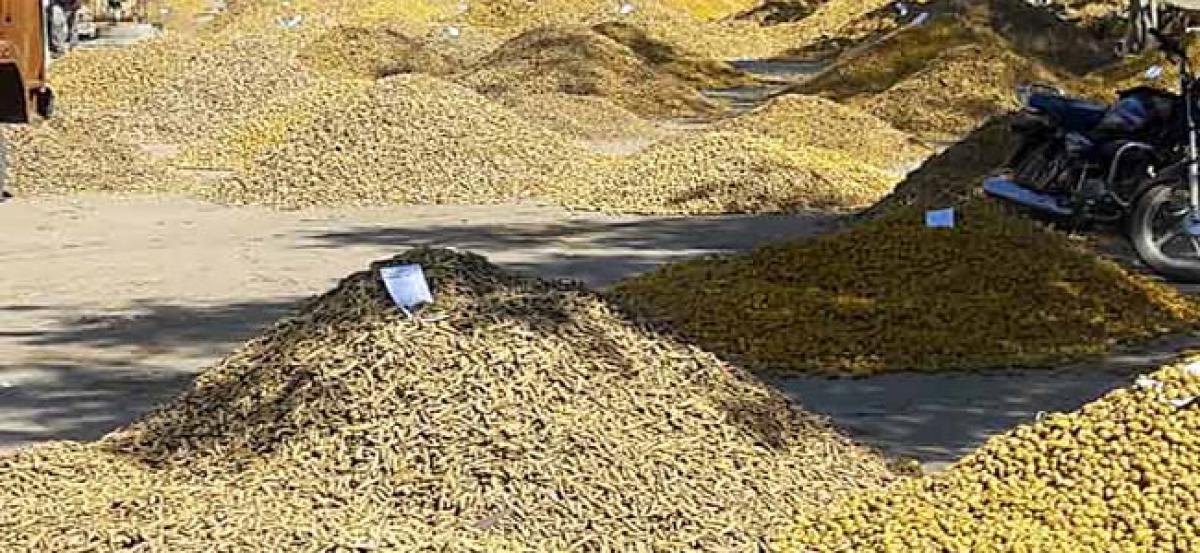 Nizamabad market yard sets new record with turmeric crop