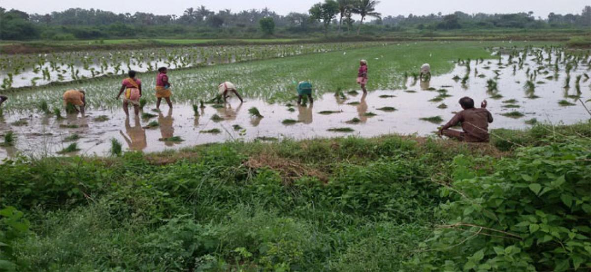 Frequent low pressures bring excess rainfall