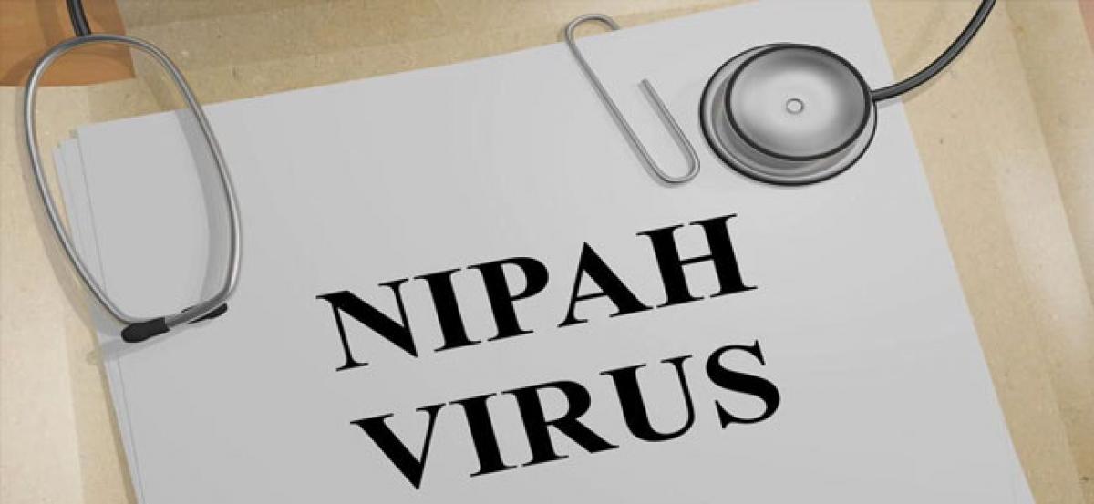 Don’t panic, these 2 simple measures can protect you from Nipah virus