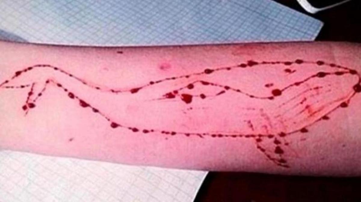 SC seeks Centres response on Blue Whale game ban