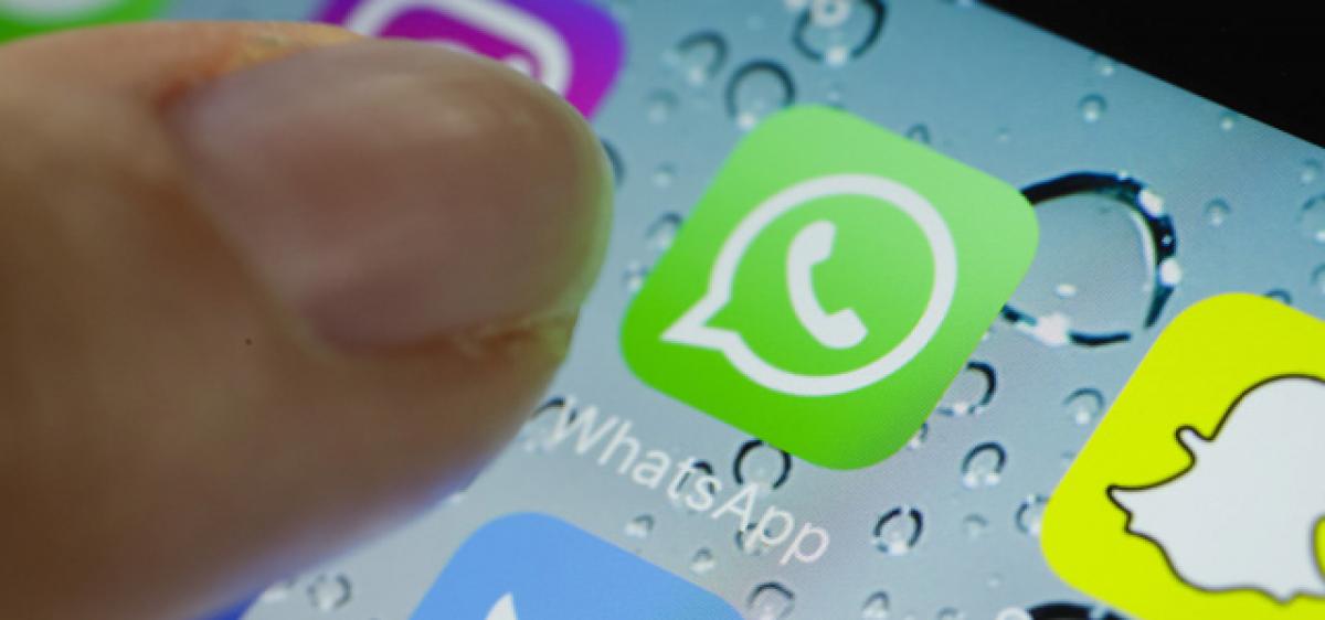 Now share any file you want on WhatsApp
