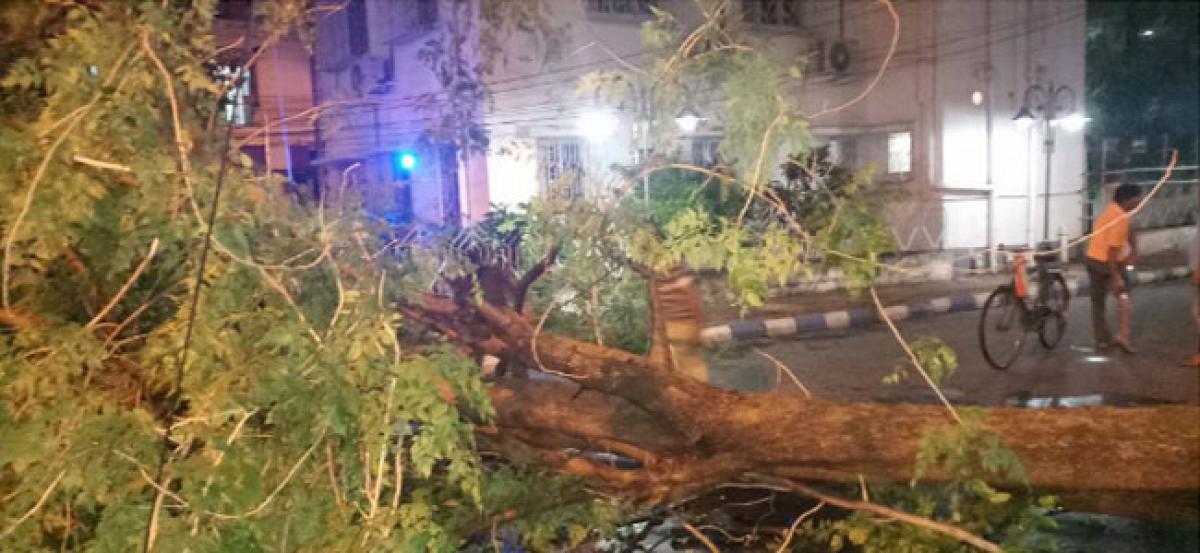 8 killed after massive storm hits West Bengal