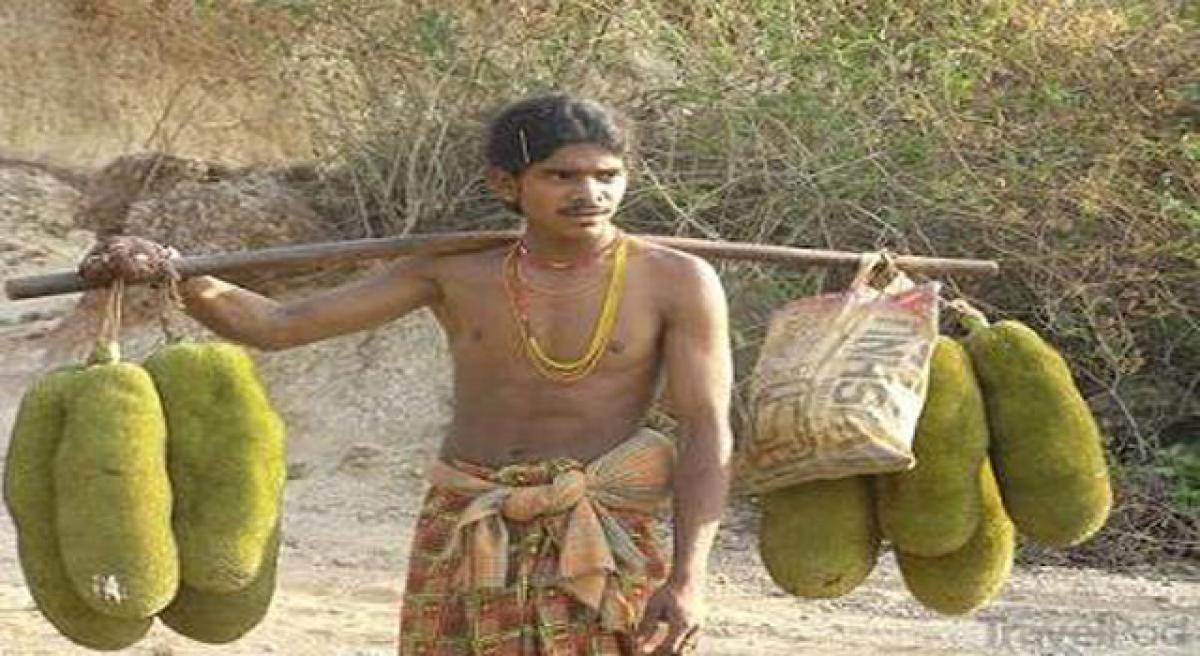 Govt apathy chipping away at tribal rights