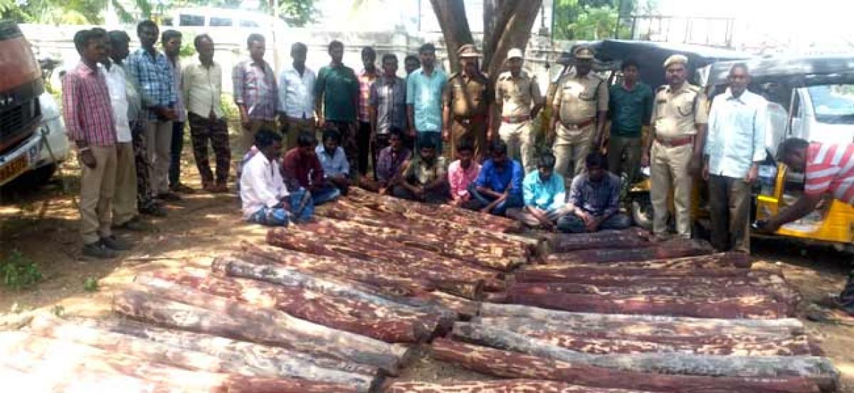 10 Tamil wood cutters arrested seized Rs 1crores worth 78 red sander logs