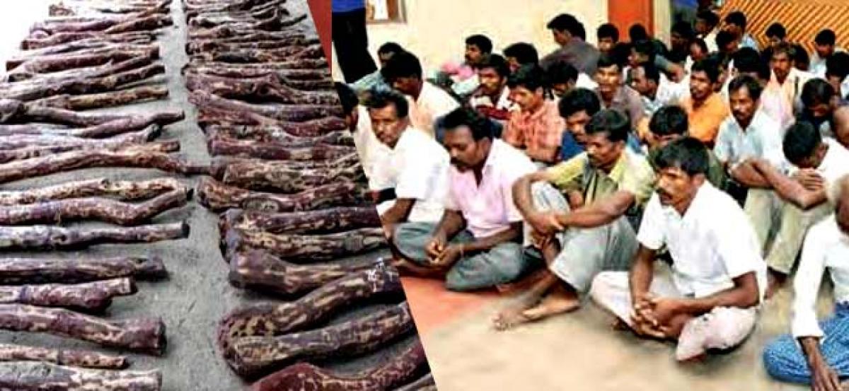 84 TN red sander woodcutters released in AP