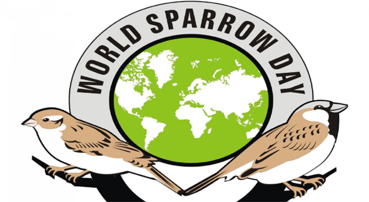 World Sparrow Day observed