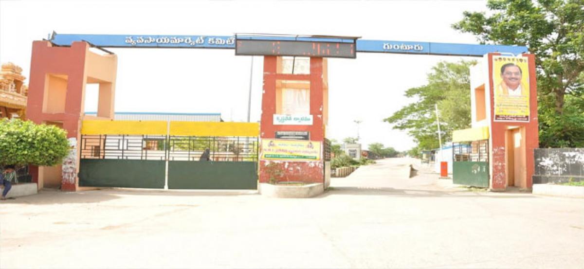 Centre to develop Guntur Mirchi  Yard