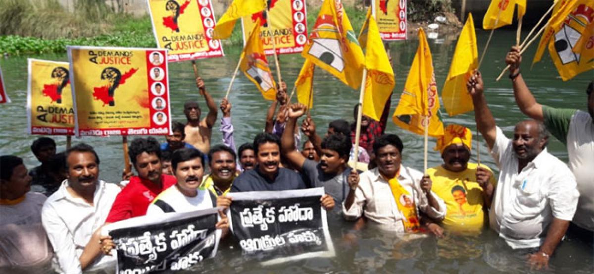 Telugu Yuvata organises Jala Deeksha for SCS