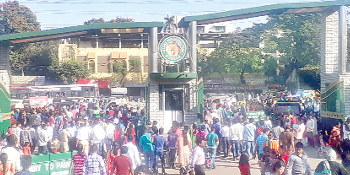 High visitor turnout at Nehru Zoo Park